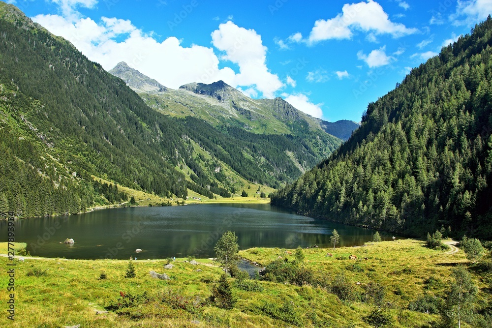 Austrian Alps-view on the lake Riesachsee