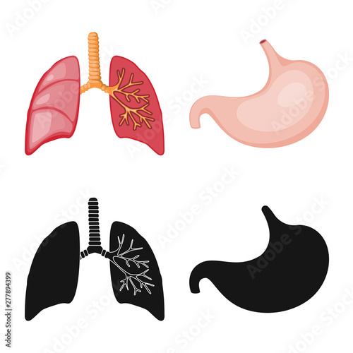 Vector illustration of biology and scientific symbol. Collection of biology and laboratory stock symbol for web.
