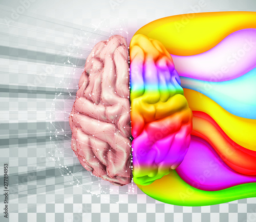 human vector brain. mesh. logical and creative hemispheres. bright colors. learning and personal development