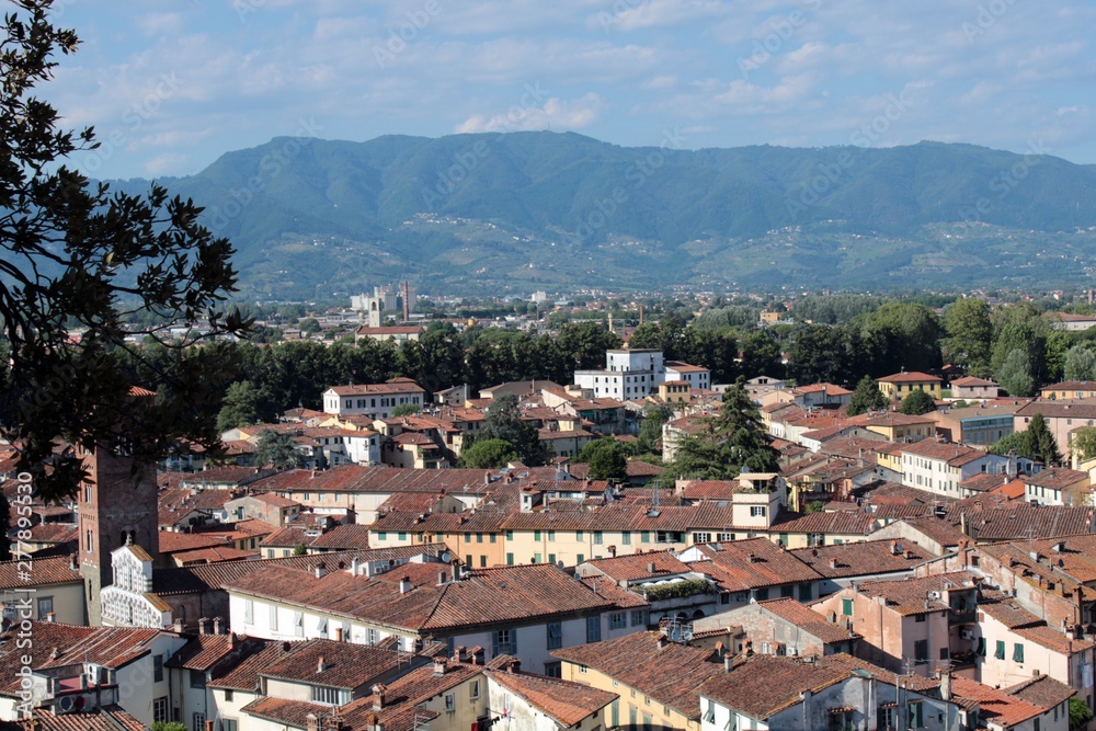 A piece of Lucca from Tower Guinigi