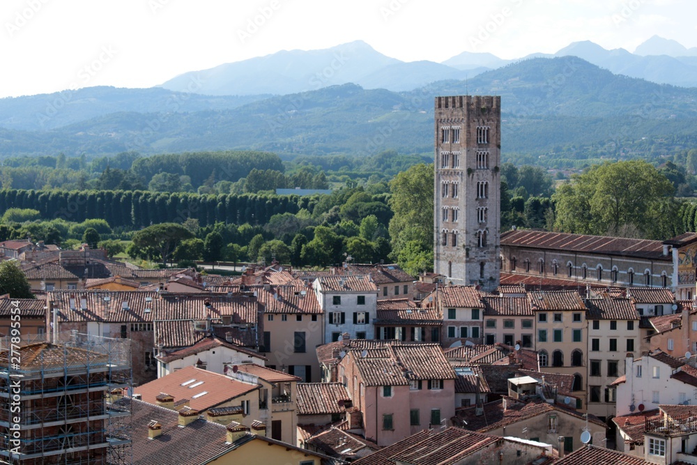 Another tower from Tower Guinigi, Lucca