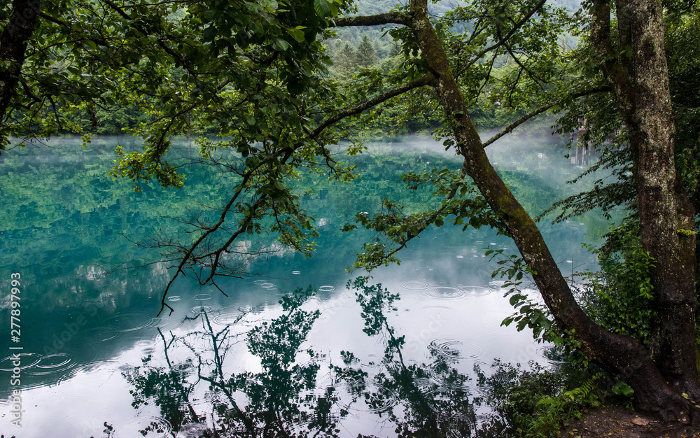 A tree branch hangs over the Lower karst blue lake Tserik-Kel in cloudy foggy weather, on the water surface circles from rain drops, Kabardino-Balkar Republic, Russia A tree branch hangs over the Lower karst blue lake Tserik-Kel in cloudy foggy weather, on the water surface circles from rain drops, Kabardino-Balkar Republic, Russia