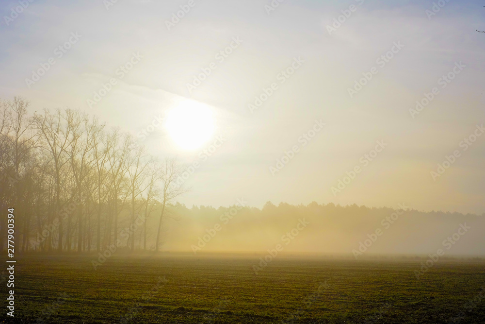 Fototapeta premium Misty countryside sunrise