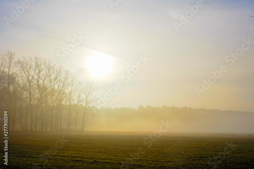 Misty countryside sunrise