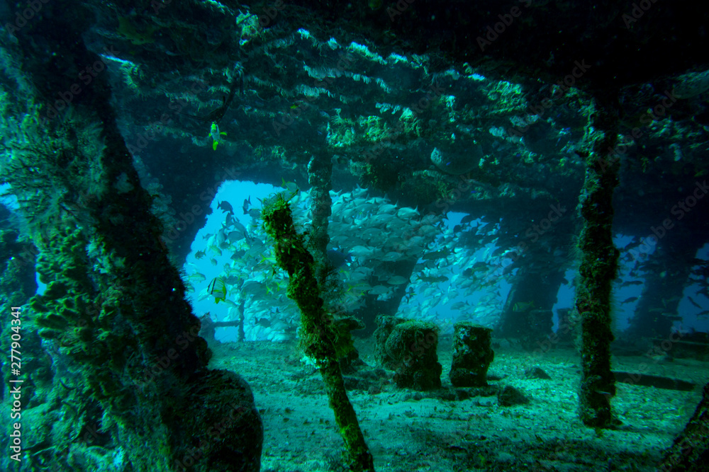 C-58 Shipwreck Dive