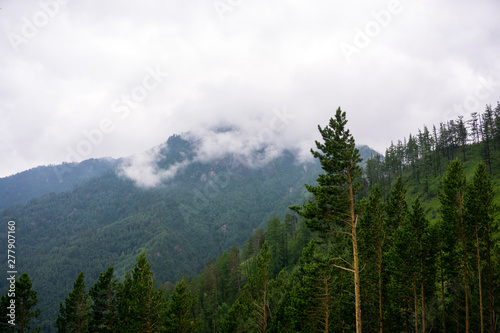 mountain peaks in misty clouds