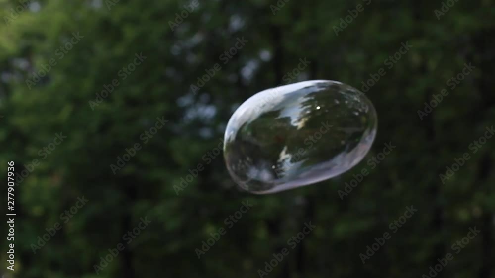 Rainbow soap bubble in the park Rainbow soap bubble in the park