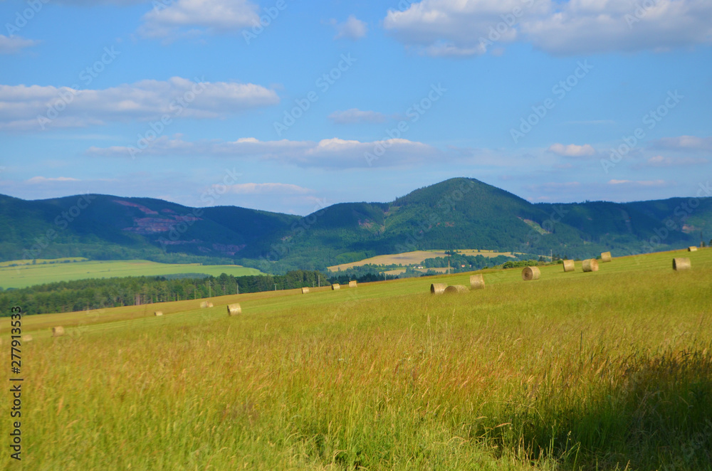 Naklejka premium Rehorngebirge