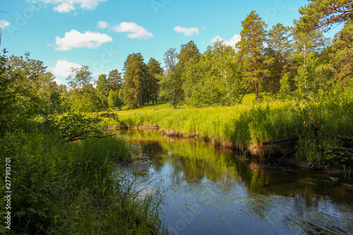 lake in the forest