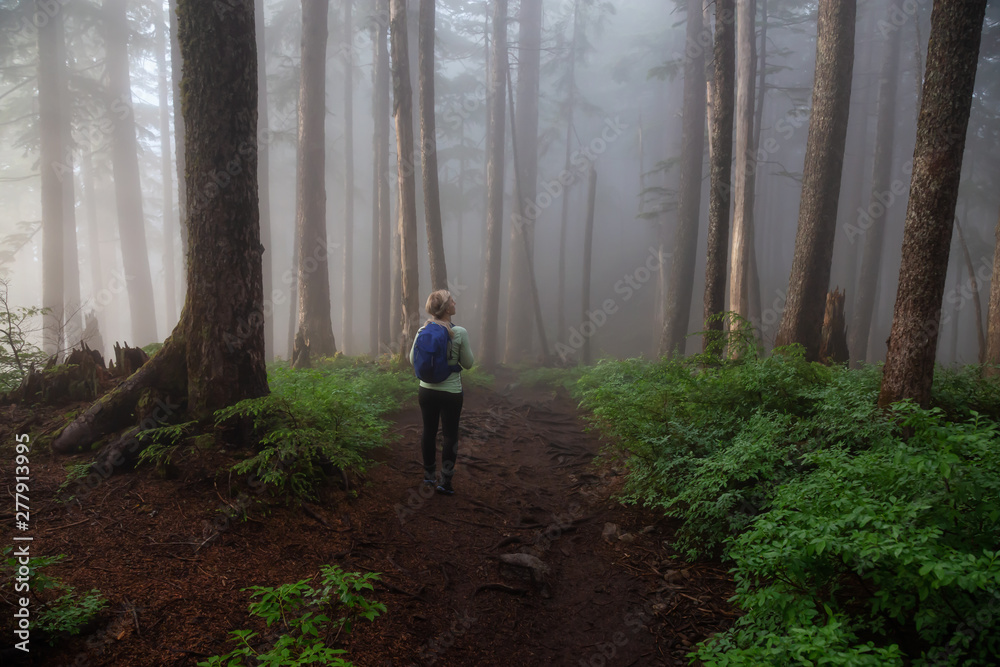 Adventurous girl hiking on a trail in the woods during a foggy and rainy day. Taken in Cypress Provincial Park, Vancouver, British Columbia, Canada.