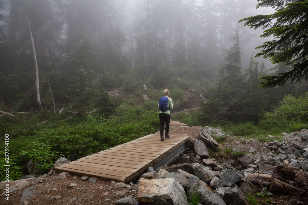 Obraz premium Adventurous girl hiking on a trail in the woods during a foggy and rainy day. Taken in Cypress Provincial Park, Vancouver, British Columbia, Canada.