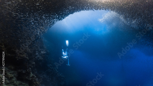 Obraz na plátně Freediving with a massive school of sardines in an underwater cliff