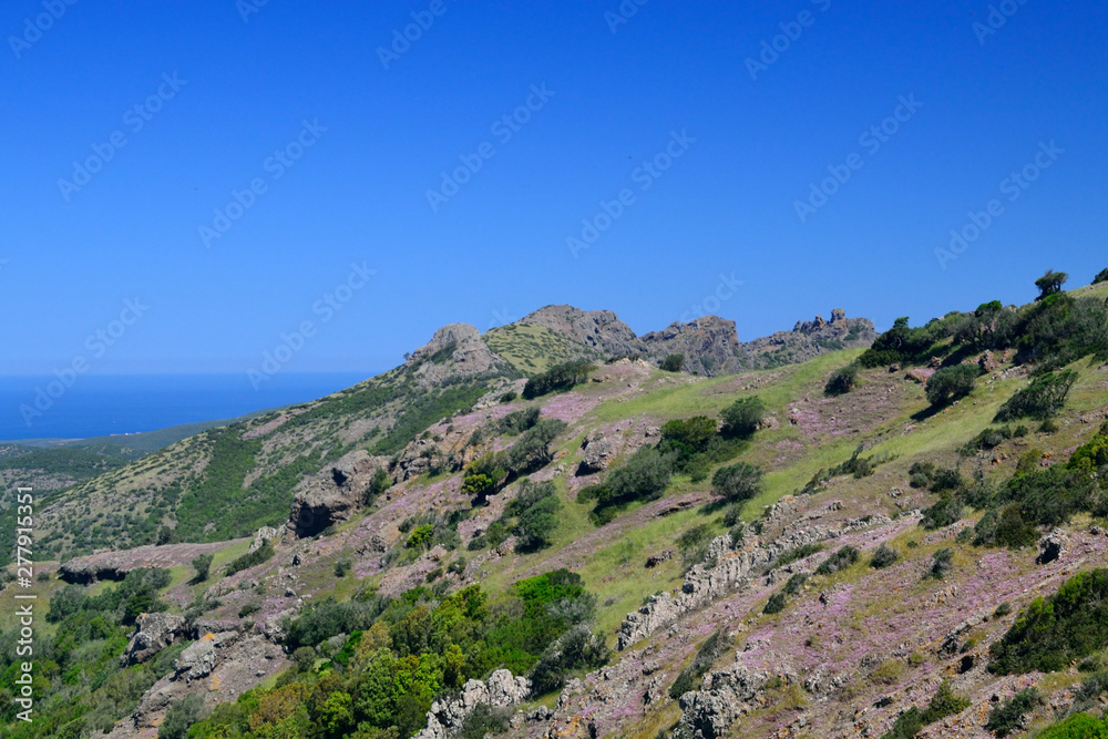 Vista del Monte Arcuentu