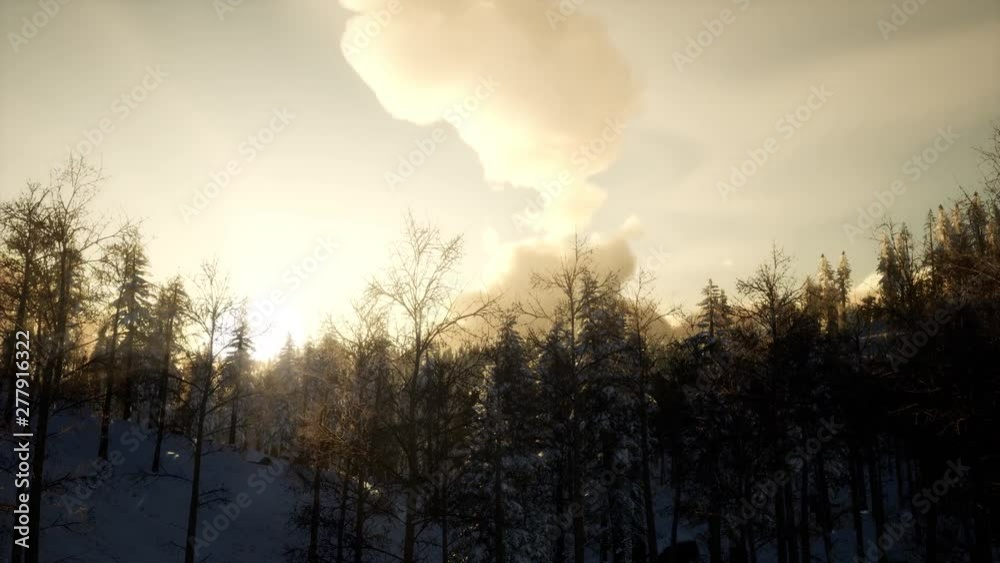 winter landscape on a sunset. Mountains Carpathians, Ukraine winter landscape on a sunset. Mountains Carpathians, Ukraine