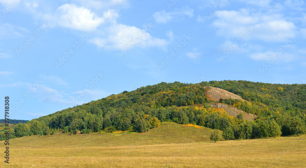 Summer landscape with mountain