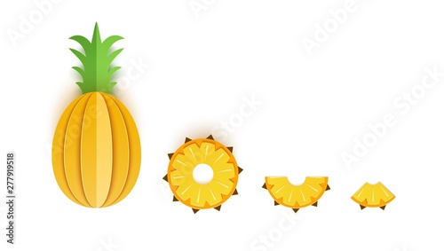 Set of pineapple sliced paper citrus fruit sliced whole, triangular and round slices, design for any purpose. Summer citrus, juicy food. Vector 3d map illustration. Tropical paper layers of fruit.