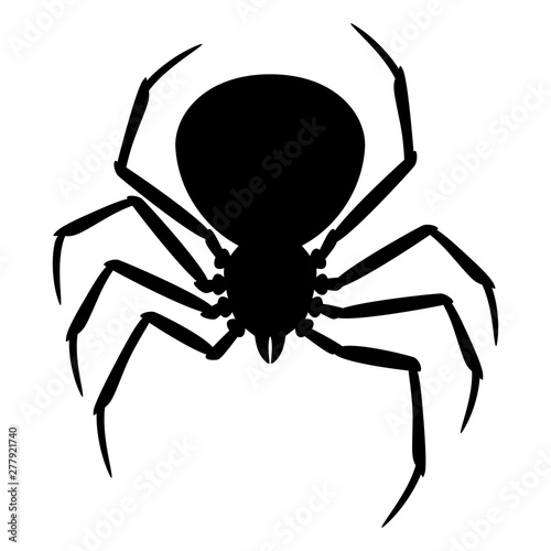 Black widow spider silhouette.