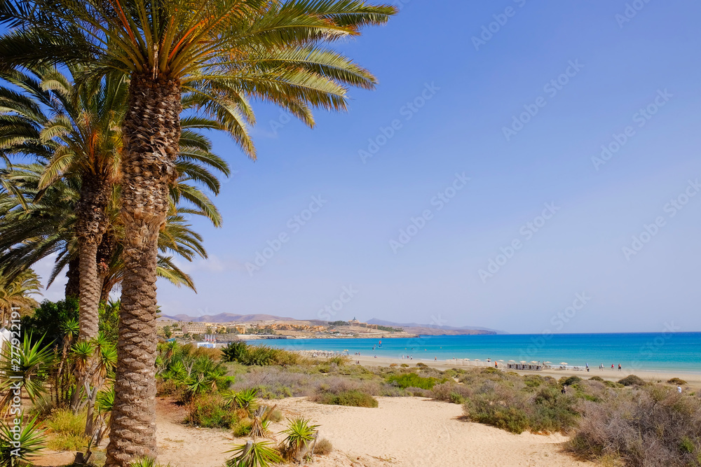 Beach Costa Calma on Fuerteventura, Canary Islands. Beach Costa Calma on Fuerteventura, Canary Islands.