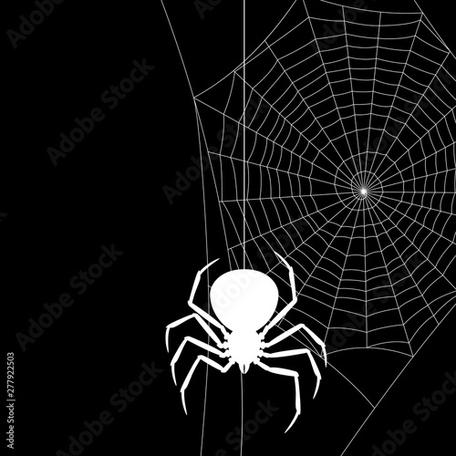 Background with black widow spider.