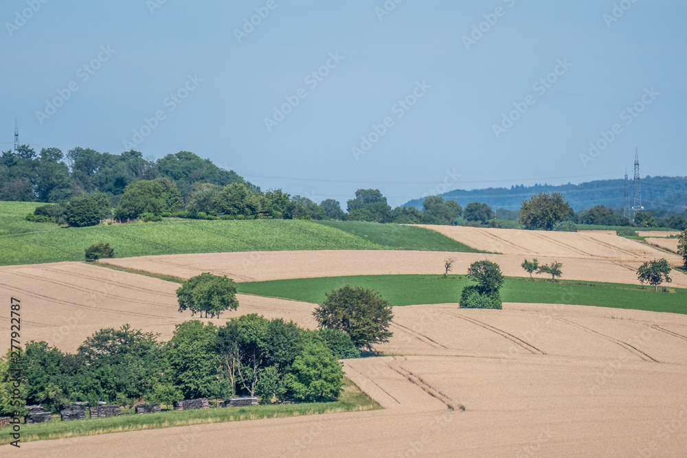 Fototapeta premium Hügelige Agrar Landschaft im Sommer