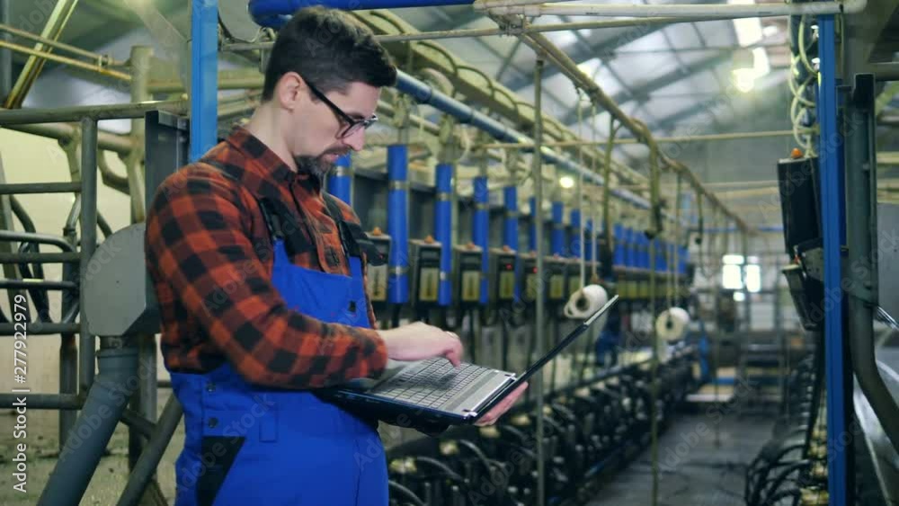 Worker looks at machines in a milking facility, typing on a laptop. Worker looks at machines in a milking facility, typing on a laptop.