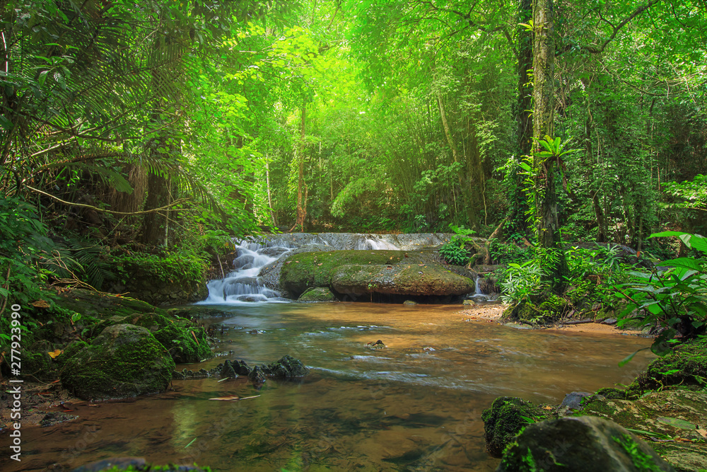 Fototapeta premium Waterfall in autumn forest at Sa Nang Manora National Park ,Phang-nga Thailand