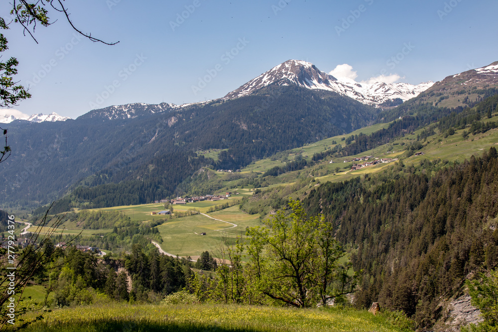 View of green meadows and pastures in front of high mountains in the swiss alps