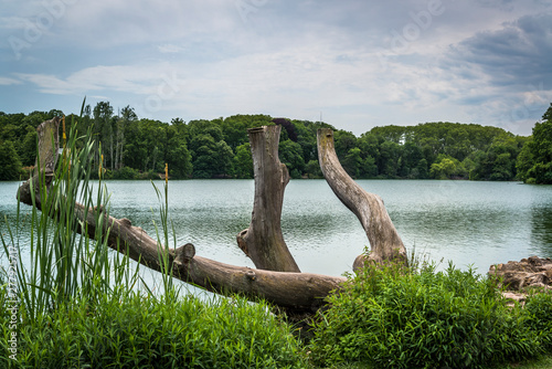 Parc de la Tête d'or or Park of the Golden Head, a large urban park, Lyon, France