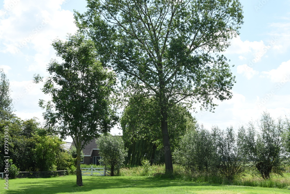 small farmhouse with trees and meadows 