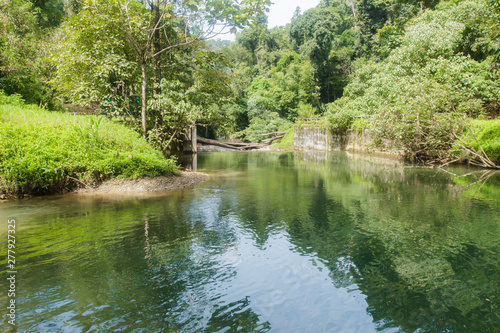 Wild nature Near Waterfall forest prolific ,in Phang Nga National Park, Thailand