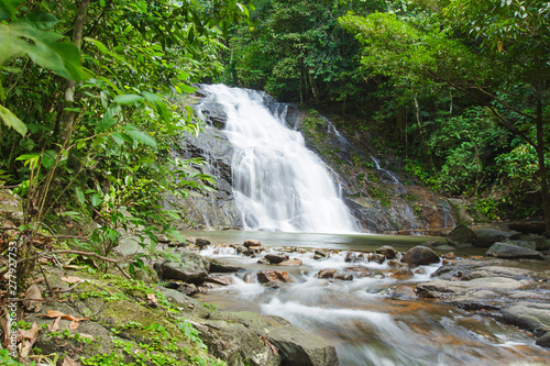 Ton Chong Fa,in the forest tropical zone ,national park Takua pa Phang Nga Thailand