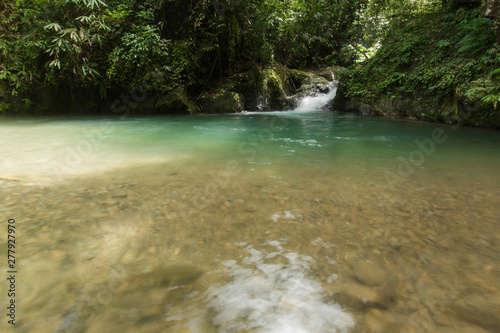 Ton Dang Fa in the forest tropical zone  national park Takua pa Phang Nga Thailand