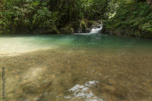 Wallpaper Mural Ton Dang Fa,in the forest tropical zone ,national park Takua pa Phang Nga Thailand Torontodigital.ca