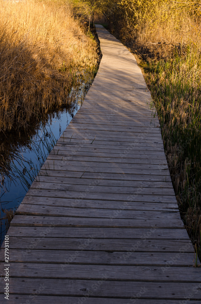 Fototapeta premium Mamut Route, touring the Padul Lagoon (Granada) Spain