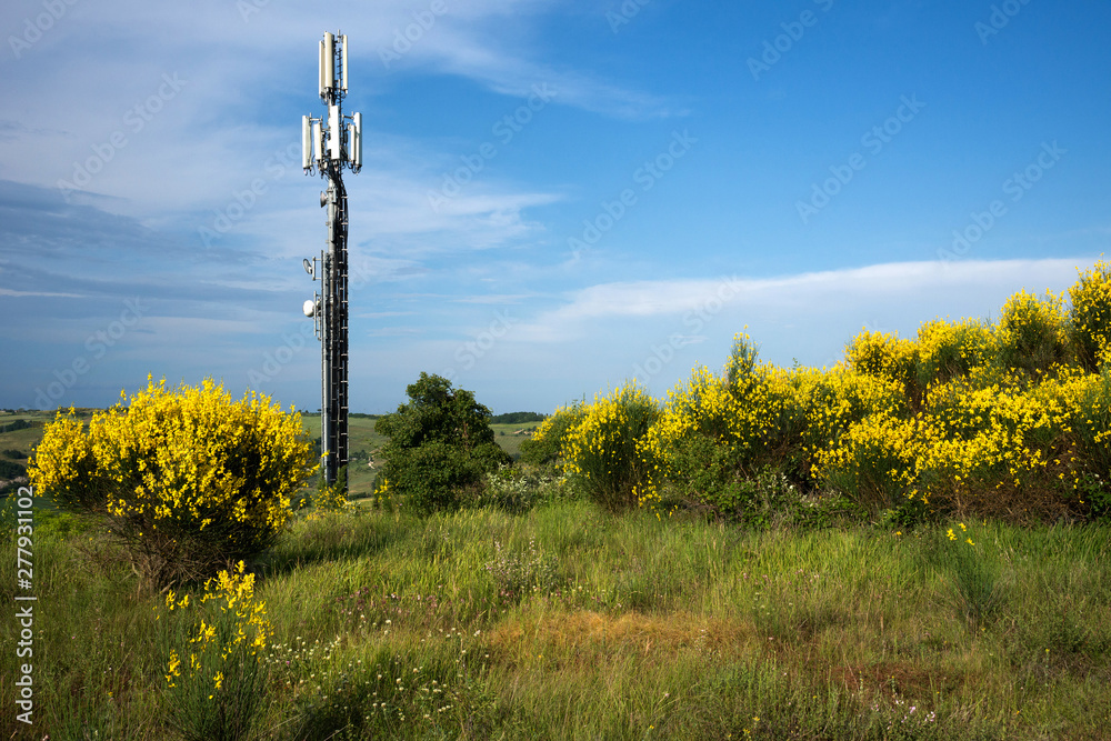 Obraz premium repeater i natura