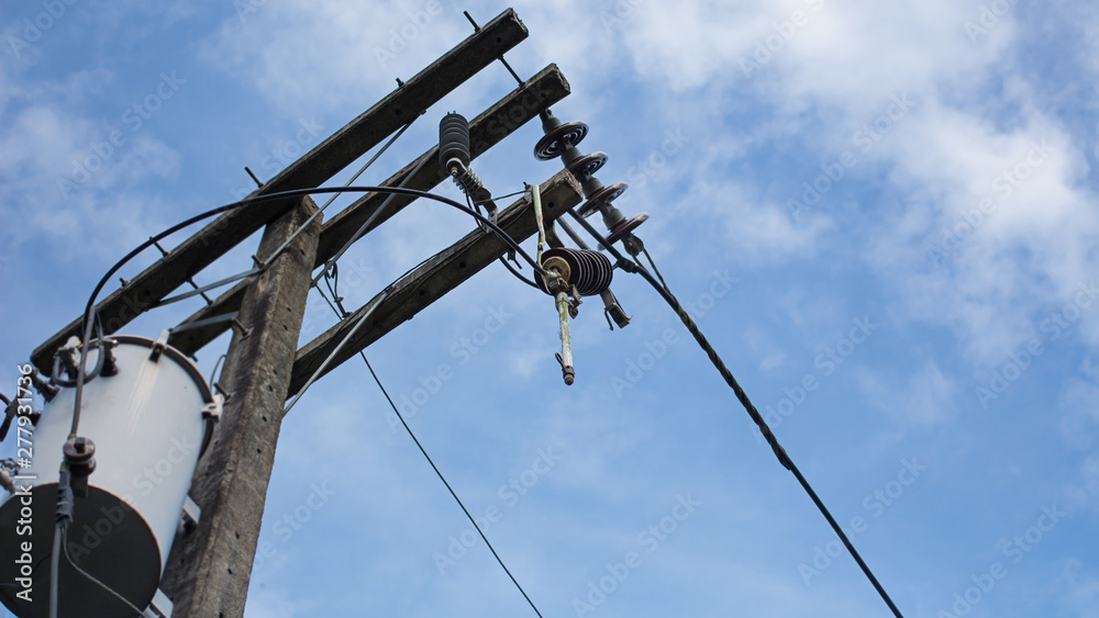 Radiated Ratsnakes Green snake , electric shock, cause of the fire, in Phuket Thailand, on the power poles. Radiated Ratsnakes Green snake , electric shock, cause of the fire, in Phuket Thailand, on the power poles.