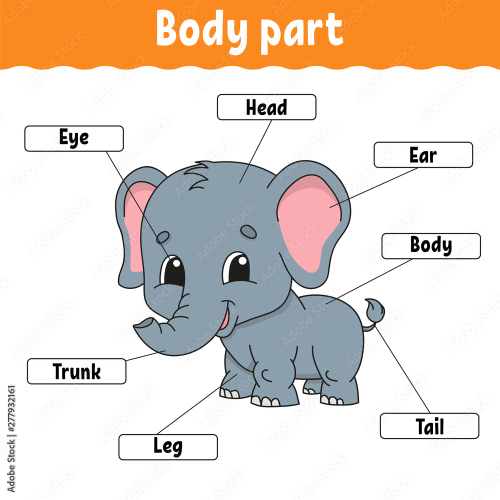 Body part. Learning words. Education developing worksheet. Activity page  for study English. Game for children. Funny character. Isolated vector  illustration. Cartoon style. Stock Vector | Adobe Stock