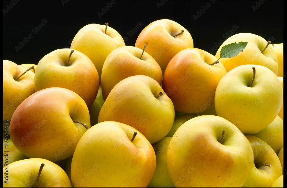 Fruta, manzanas golden sobre fondo negro. Fruit, golden apples on black background. Fruta, manzanas golden sobre fondo negro. Fruit, golden apples on black background.
