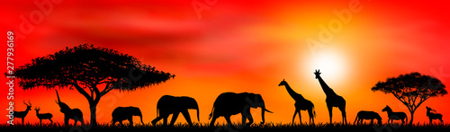 Savanna animals on a background of a sunset sun.Silhouettes of wild animals of the African savannah. African landscape with animals and trees at sunset 