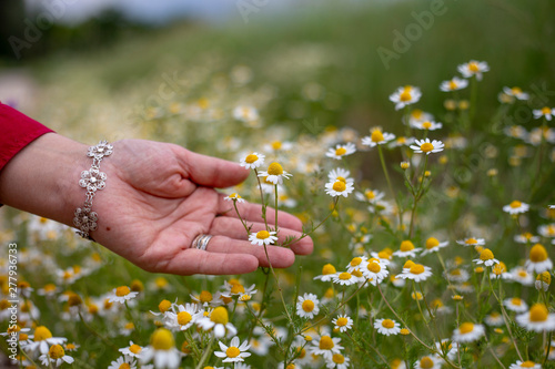 flower in hands