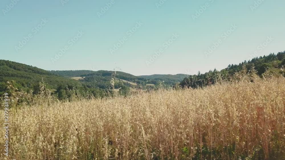 Aerial view of wheat field in beautiful hill landscape Germany in 4k Aerial view of wheat field in beautiful hill landscape Germany in 4k