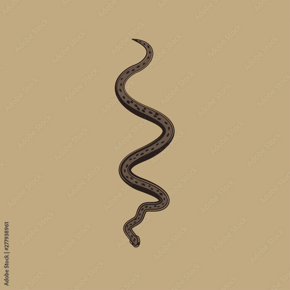 Fototapeta premium Ilustracja wektorowa brązowy Python