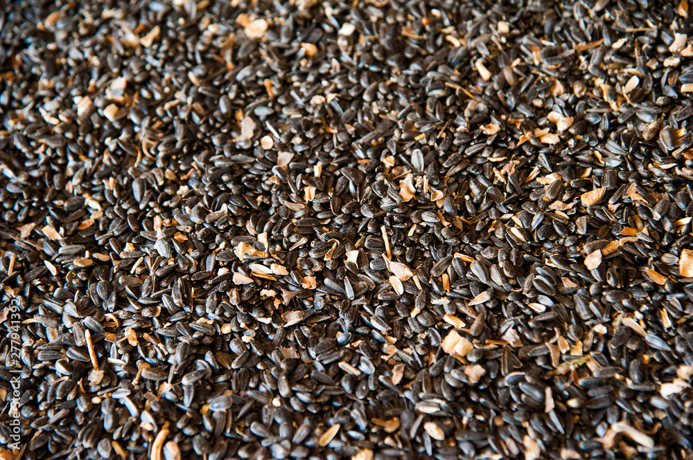 Sunflower seeds in storage Sunflower seeds in storage