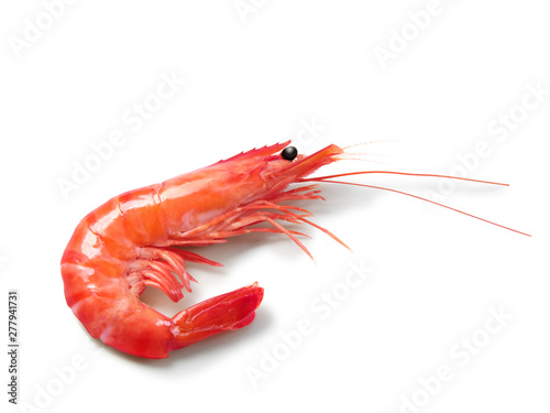 gamba langostino.  raw fresh shrimp photo