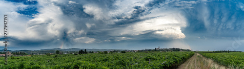 Vigneti della Valpolicella