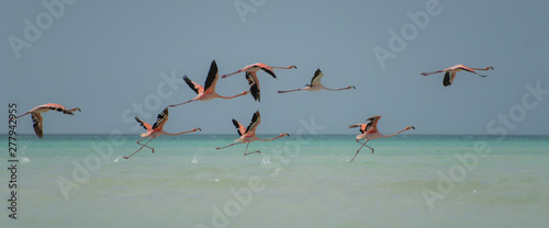 Beautiful Wide Angle Panoramic Photography Taken in the Beautiful Mexican Island, Holbox  photo