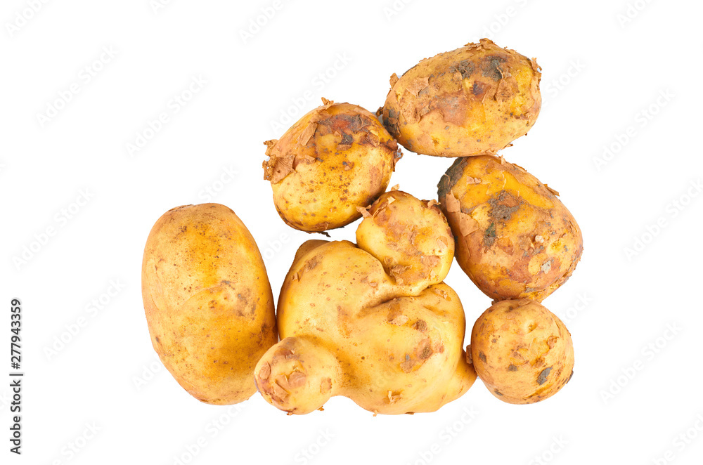 Fresh white potatoes isolated on white background. The view from the top. Organic food background. Fresh white potatoes isolated on white background. The view from the top. Organic food background.