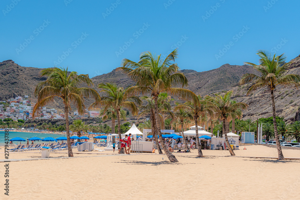 Tenerife, palm trees on the beach