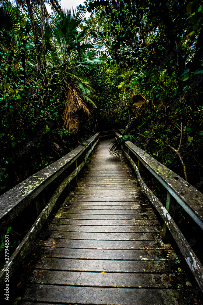 In the middle of Everglades National Park (Florida/USA) In the middle of Everglades National Park (Florida/USA)