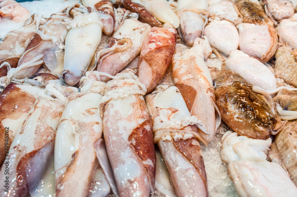 Fresh squid on ice at the market stall Fresh squid on ice at the market stall